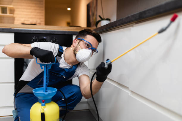 Best Cockroach Control Services  in Buckhead Ridge, FL