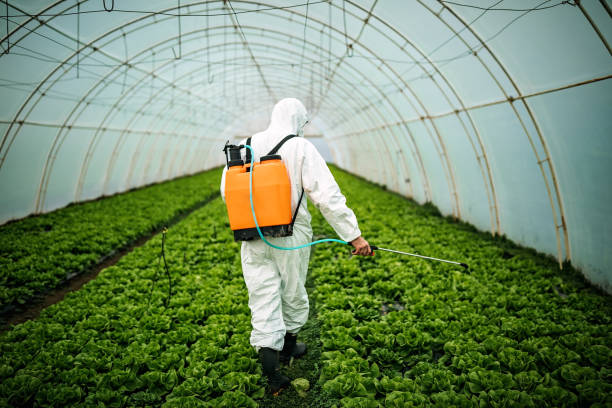 Best Commercial Pest Control Services  in Buckhead Ridge, FL