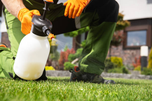 Best Best Pest Control Companies  in Buckhead Ridge, FL