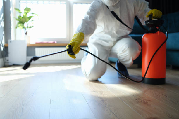 Best Affordable Pest Control Services  in Buckhead Ridge, FL