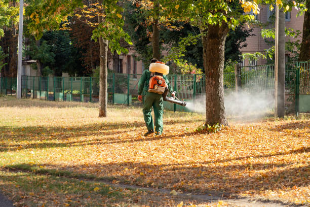 Best Pest Control Near Me  in Buckhead Ridge, FL