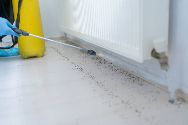 Best Wildlife Control Services  in Buckhead Ridge, FL